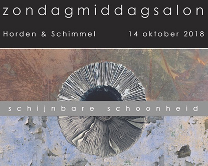 Zondagmiddagsalon: Schijnbare Schoonheid